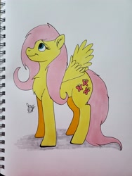 Size: 3024x4032 | Tagged: safe, artist:jay_wackal, imported from derpibooru, fluttershy, pegasus, pony, female, mare, solo, traditional art