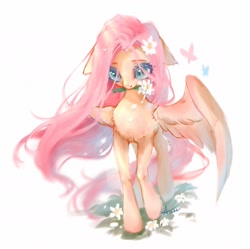 Size: 2001x1995 | Tagged: safe, artist:annie39367262, imported from derpibooru, fluttershy, butterfly, pegasus, pony, chest fluff, cute, ear fluff, female, floppy ears, flower, flower in hair, flower in mouth, leg fluff, mare, mouth hold, raised hoof, shyabetes, simple background, solo, spread wings, stray strand, white background, wings