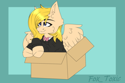 Size: 1861x1240 | Tagged: safe, artist:teafox, imported from derpibooru, oc, oc:tanuki thunderstorm of magadan, pegasus, pony, bowtie, box, clothes, commission, pony in a box, ych result