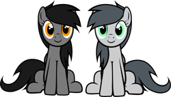 Size: 5772x3288 | Tagged: artist needed, safe, artist:xoovelaxu, imported from derpibooru, oc, oc only, pegasus, pony, derpibooru community collaboration, 2021 community collab, absurd resolution, base used, duo, duo female, female, high res, looking at you, mare, pegasus oc, simple background, sitting, smiling, smiling at you, transparent background, vector, wings