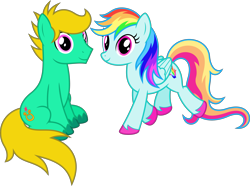 Size: 5385x4000 | Tagged: safe, artist:parclytaxel, artist:starponys87, imported from derpibooru, oc, oc only, oc:david starlyre, oc:rainbowfire, earth pony, pegasus, pony, derpibooru community collaboration, .svg available, 2021 community collab, absurd resolution, female, looking at you, male, mare, not rainbow dash, simple background, sitting, smiling, stallion, transparent background, unshorn fetlocks, vector