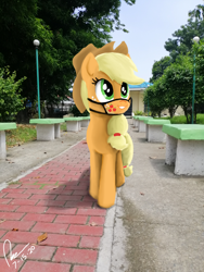 Size: 3456x4608 | Tagged: safe, artist:raphaeldavid, imported from derpibooru, applejack, earth pony, pony, face mask, irl, mask, photo