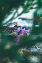 Size: 2656x3984 | Tagged: safe, artist:7yashka7, imported from derpibooru, twilight sparkle, alicorn, photo, solo, toy