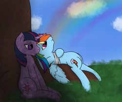 Size: 2635x2202 | Tagged: safe, artist:snow quill, imported from derpibooru, rainbow dash, twilight sparkle, bandage, cloud, cover art, day, grass, rainbow, sitting, story in the source, tree