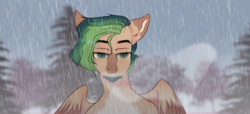 Size: 1280x582 | Tagged: safe, artist:azaani, imported from derpibooru, oc, oc only, pegasus, pony, beard, facial hair, forest, looking at you, male, rain, solo, wet, wet mane, wings