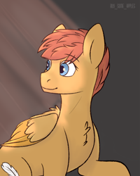 Size: 1200x1500 | Tagged: safe, artist:buy_some_apples, imported from derpibooru, oc, oc only, pegasus, fallout equestria, pegasus oc, solo, wings