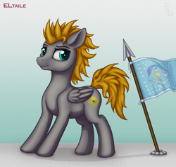 Size: 3000x2856 | Tagged: safe, artist:eltaile, imported from derpibooru, oc, oc:platinumdrop, pegasus, pony, equestria, flag, male, solo, spear, weapon