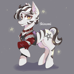 Size: 2000x2000 | Tagged: safe, artist:shinomi, imported from derpibooru, oc, oc only, zebra, clothes, collar, ear fluff, gray background, high res, jacket, looking at you, male, one hoof raised, raised hoof, simple background, smiling, solo, stallion, zebra oc