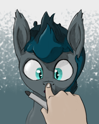 Size: 1569x1965 | Tagged: artist needed, safe, imported from derpibooru, oc, bat pony, human, boop, hand, offscreen character, offscreen human, pen, pov