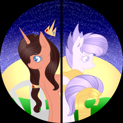 Size: 1200x1200 | Tagged: safe, artist:thecommandermiky, imported from derpibooru, oc, oc:commander miky, pony, unicorn, guard, photo, profile picture