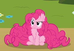 Size: 814x565 | Tagged: source needed, safe, artist:derek pony, imported from derpibooru, pinkie pie, cheek fluff, chest fluff, ear fluff, excessive fluff, fluffy, leg fluff, maximum overfloof, solo