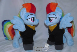 Size: 1024x697 | Tagged: safe, artist:allunacraft, imported from derpibooru, rainbow dash, pony, irl, older, photo, solo