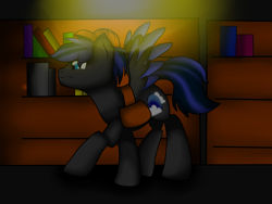 Size: 1600x1200 | Tagged: safe, artist:juliet-gwolf18, imported from derpibooru, oc, oc only, pegasus, pony, bag, book, bookcase, hat, indoors, male, pegasus oc, saddle bag, solo, stallion, two toned wings, wings