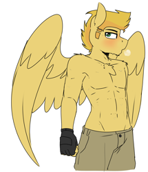 Size: 2000x2321 | Tagged: safe, artist:coatieyay, imported from derpibooru, oc, oc only, oc:radar burst, anthro, pegasus, abs, blushing, breath, breathing, chest fluff, clothes, fingerless gloves, gloves, high res, looking at you, male, muscles, pants, partial nudity, pecs, shoulder fluff, solo, sweat, topless, wings