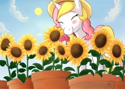 Size: 1024x725 | Tagged: safe, artist:foxhatart, imported from derpibooru, oc, oc:taffy, pony, unicorn, female, flower, hat, mare, solo, sunflower