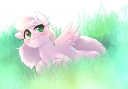 Size: 2048x1430 | Tagged: safe, artist:kurogewapony, imported from derpibooru, oc, oc only, oc:moff cloud, pegasus, pony, blushing, female, grass, mare, simple background, smiling, solo, spread wings, wings