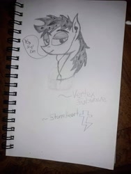 Size: 3096x4128 | Tagged: safe, artist:stormheart, imported from derpibooru, oc, oc only, oc:vertex soundwave, earth pony, pony, male, monochrome, photo, speech bubble, stallion, traditional art