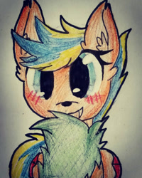 Size: 1152x1440 | Tagged: safe, artist:juliet-gwolf18, imported from derpibooru, oc, oc only, oc:blue bolt, pony, wolf, wolf pony, blushing, bust, ear fluff, eyelashes, female, grin, smiling, solo, traditional art