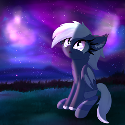 Size: 4000x4000 | Tagged: safe, artist:windy-pony, imported from derpibooru, oc, oc:proxi, bat pony, awestruck, bat pony oc, bat wings, clothes, ear fluff, female, night, sitting, socks, solo, stars, teary eyes, wings