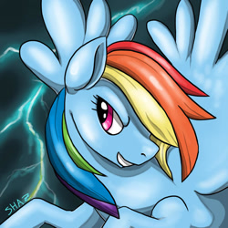 Size: 600x600 | Tagged: safe, artist:commander booty call, artist:slime-tiger, imported from derpibooru, rainbow dash, pegasus, pony, bust, female, grin, hair over one eye, lighting, mare, portrait, signature, smiling, solo