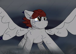 Size: 2100x1500 | Tagged: safe, artist:hemlock conium, imported from derpibooru, oc, oc only, pegasus, fanfic:what you need, crying, fanfic art, female, mare, rain, solo, storm
