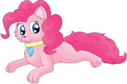 Size: 373x247 | Tagged: artist needed, source needed, safe, artist:alice-harmony, imported from derpibooru, pinkie pie, cat, cute, diapinkes, solo