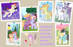 Size: 3816x2480 | Tagged: safe, artist:sunlightshimmer64, imported from derpibooru, little mac, oc, oc only, oc:apple flower, oc:fast wind, oc:fire desh, oc:flower (sunlightshimmer64), oc:jacob, oc:jason, oc:melody, oc:star magic, oc:strong heart, oc:sunlight shimmer, oc:sweet candy, earth pony, hybrid, pegasus, pony, unicorn, base used, canon x oc, clothes, coat markings, female, flying, interspecies offspring, looking at each other, male, mare, next generation, oc x oc, offspring, offspring shipping, parent:applejack, parent:big macintosh, parent:discord, parent:fancypants, parent:fire streak, parent:flash sentry, parent:fleur-de-lis, parent:fluttershy, parent:hoity toity, parent:marble pie, parent:party favor, parent:pinkie pie, parent:princess celestia, parent:rainbow dash, parent:rarity, parent:soarin', parent:spitfire, parent:starlight glimmer, parent:sunburst, parent:sunset shimmer, parent:trouble shoes, parent:troubleshoes clyde, parents:dislestia, parents:fancyfleur, parents:flashimmer, parents:fluttermac, parents:marbleshoes, parents:partypie, parents:rainbowstreak, parents:raritoity, parents:soarinfire, parents:starburst, photo, scarf, shared clothing, shared scarf, shipping, side hug, simple background, socks (coat marking), socks (coat markings), sperm donation, stallion, straight, thumb tacks, transparent background, watermark