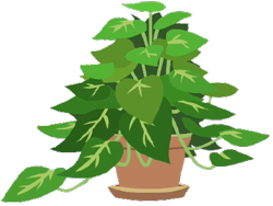 Size: 429x323 | Tagged: safe, imported from derpibooru, phyllis, background removed, no pony, philodendron, plant, potted plant, simple background, solo, transparent background