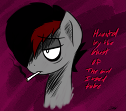 Size: 701x617 | Tagged: safe, artist:icy wind, imported from derpibooru, oc, oc only, oc:miss eri, pony, black and red mane, emo, smoking, solo, text, two toned mane