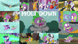 Size: 1972x1111 | Tagged: safe, edit, edited screencap, editor:quoterific, imported from derpibooru, screencap, peewee, rarity, smolder, spike, twilight sparkle, zecora, alicorn, bird, dragon, pony, roc, unicorn, zebra, molt down, dragoness, eyes closed, female, freakout, gritted teeth, open mouth, surprised, twilight sparkle (alicorn), winged spike, wings