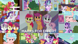 Size: 1972x1110 | Tagged: safe, edit, edited screencap, editor:quoterific, imported from derpibooru, screencap, apple bloom, big macintosh, cozy glow, fluttershy, pinkie pie, rarity, scootaloo, silverstream, starlight glimmer, sugar belle, sweetie belle, twilight sparkle, alicorn, earth pony, hippogriff, pegasus, pony, unicorn, marks for effort, :i, bipedal, bow, chickadee (bird), cutie mark crusaders, evil grin, eyes closed, female, filly, glowing horn, grin, horn, house finch, i mean i see, magic, magic aura, male, open mouth, purple martin, shipping, smiling, stack, straight, sugarmac, twilight sparkle (alicorn)
