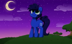 Size: 4096x2496 | Tagged: safe, artist:kittyrosie, imported from derpibooru, oc, oc only, earth pony, pony, commission, cute, looking up, male, moon, night, ocbetes, smiling, solo, stallion, standing, stargazing