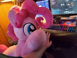 Size: 4032x3024 | Tagged: safe, artist:lanacraft, imported from derpibooru, photographer:crescent star, pinkie pie, earth pony, bubble berry, computer, eve online, irl, male, offscreen character, photo, plushie, pov, rule 63