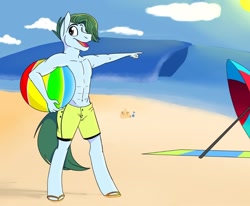 Size: 1080x892 | Tagged: safe, artist:sarianabt, imported from derpibooru, oc, oc only, oc:summer fluff, anthro, anthro oc, beach, beach ball, clothes, male, ocean, partial nudity, smiling, stallion, swimming trunks, topless