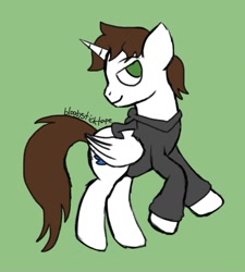 Size: 799x889 | Tagged: safe, artist:bloodysticktape, imported from derpibooru, oc, oc only, oc:rye wavecrest, alicorn, pony, alicorn oc, clothes, eyebrows, eyebrows visible through hair, folded wings, green background, hoodie, horn, male, no pupils, signature, simple background, smiling, smirk, solo, stallion, wings