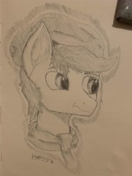 Size: 3024x4032 | Tagged: artist needed, safe, imported from derpibooru, oc, oc only, oc:apex soundwave, earth pony, pony, beanie, bust, clothes, frown, hat, male, monochrome, scarf, stallion, traditional art