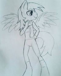 Size: 1152x1440 | Tagged: safe, artist:juliet-gwolf18, imported from derpibooru, oc, oc only, anthro, pegasus, unguligrade anthro, clothes, grayscale, lineart, male, monochrome, pants, pegasus oc, smiling, solo, traditional art, wings
