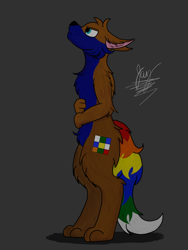 Size: 900x1200 | Tagged: safe, artist:jay_wackal, imported from derpibooru, oc, oc only, oc:rubik, anthro, fox, anthro oc, furry, furry oc, looking up, male, not mlp related, not pony, original character do not steal, solo