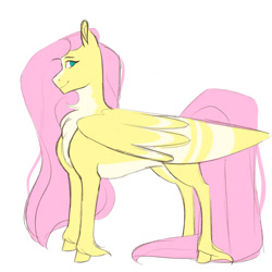 Size: 1280x1280 | Tagged: safe, artist:vintage-rec, imported from derpibooru, fluttershy, pegasus, pony, female, large wings, mare, no pupils, pale belly, profile, simple background, solo, unshorn fetlocks, white background, wings