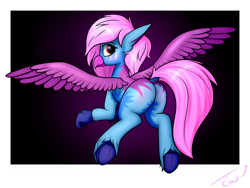 Size: 4000x3000 | Tagged: safe, artist:colourwave, imported from derpibooru, oc, oc only, oc:riva stars, classical hippogriff, hippogriff, butt, claws, commission, feathered wings, female, flying, frog (hoof), gradient background, looking at you, looking back, looking back at you, outline, plot, polaroid, simple background, solo, spread wings, underhoof, unshorn fetlocks, white outline, wings