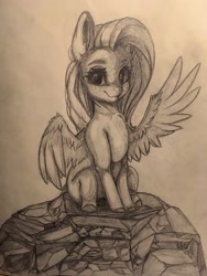 Size: 1536x2048 | Tagged: safe, artist:miokomata, imported from derpibooru, fluttershy, pegasus, pony, cute, female, freckles, freckleshy, grayscale, mare, monochrome, one wing out, pencil drawing, shyabetes, sitting, solo, traditional art, wings