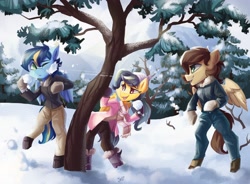 Size: 4096x3015 | Tagged: safe, artist:saxopi, imported from derpibooru, oc, oc only, pegasus, semi-anthro, beanie, clothes, hat, jacket, scarf, snow, snow boots, snowball, snowball fight, tree, trio, winter