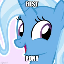 Size: 500x500 | Tagged: safe, imported from derpibooru, trixie, pony, best pony, bust, captain obvious, caption, image macro, looking at you, shitposting, solo, text, truth