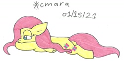 Size: 1191x585 | Tagged: safe, artist:cmara, imported from derpibooru, fluttershy, pegasus, pony, female, mare, simple background, solo, traditional art, white background