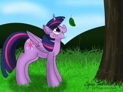 Size: 1280x963 | Tagged: safe, artist:lynnthenerdkitty, imported from derpibooru, twilight sparkle, alicorn, pony, distraction, drool, intelligence loss, leaf, mental regression, reference, solo, story in the source, tree, twilight sparkle (alicorn)