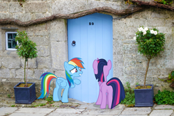 Size: 1920x1280 | Tagged: safe, artist:luckreza8, artist:peter muskrat, edit, editor:jaredking203, imported from derpibooru, vector edit, rainbow dash, twilight sparkle, alicorn, pegasus, pony, door, female, irl, mare, photo, ponies in real life, story included, twilight sparkle (alicorn), vector