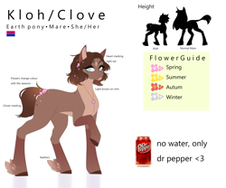 Size: 4500x3750 | Tagged: safe, artist:ohhoneybee, imported from derpibooru, oc, oc only, oc:kloh, earth pony, pony, coat markings, dr pepper, facial markings, female, mare, reference sheet, solo, star (coat marking)