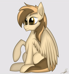 Size: 3000x3200 | Tagged: safe, artist:benzayngcup, artist:spinostud, imported from derpibooru, oc, oc only, pegasus, pony, solo