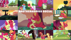 Size: 1984x1117 | Tagged: safe, edit, edited screencap, editor:quoterific, imported from derpibooru, screencap, apple bloom, applejack, big macintosh, cherry cola, cherry fizzy, comet tail, rainbow dash, scootaloo, brotherhooves social, apple, apple tree, cartoon physics, crossdressing, food, jar bloom, jump rope, orchard blossom, tree