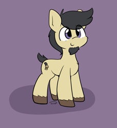 Size: 1005x1101 | Tagged: safe, artist:taurson, imported from derpibooru, oc, oc only, oc:gameburger, earth pony, pony, derpibooru community collaboration, 2021 community collab, cute, eye clipping through hair, facial hair, goatee, looking up, male, short tail, smiling, solo